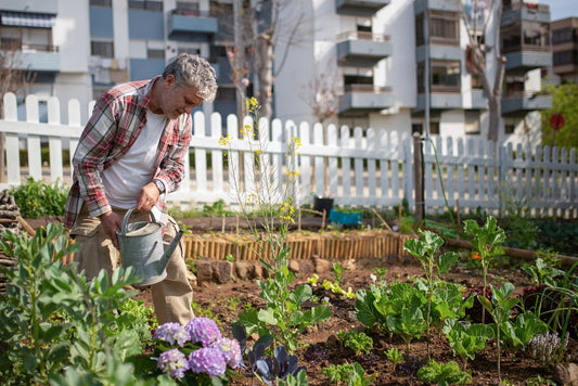 Alkaline Water for Plants: A Green Thumb Guide